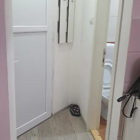 Borko 3-1 * 로즈니차