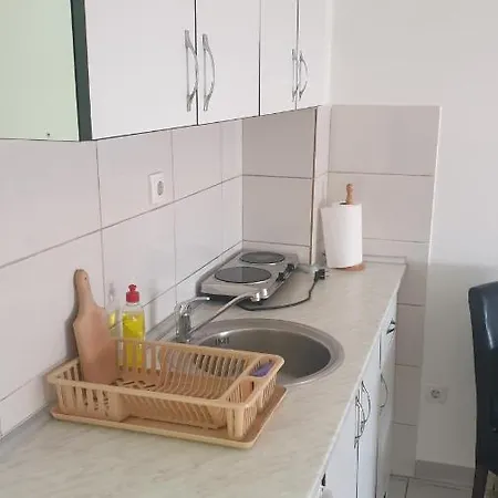 아파트 Borko 3-1 로즈니차