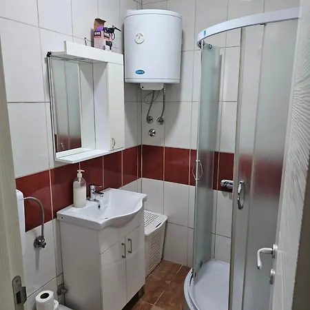 아파트 Borko 3-1 로즈니차